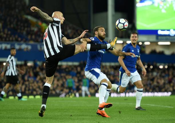 对科劳而言 对科劳而言