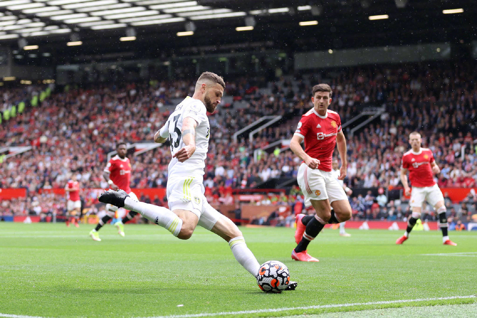 也将成为人 也将成为人